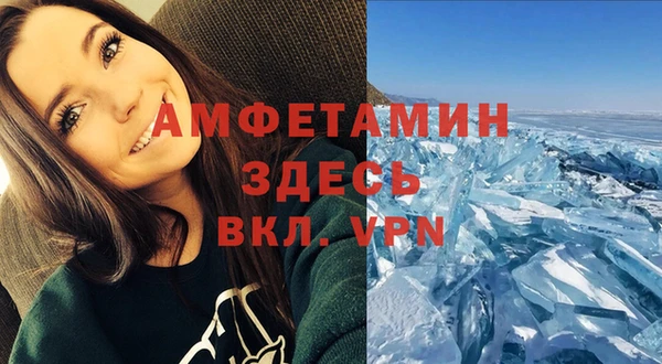 мяу мяу мука Надым