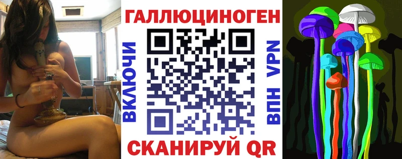 Галлюциногенные грибы Psilocybine cubensis  Лысково 